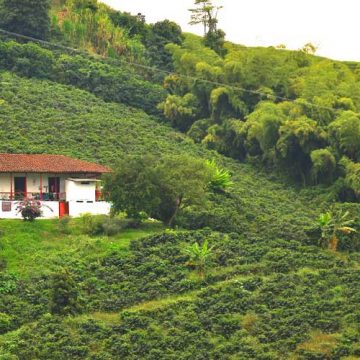 Paisaje Cultural Cafetero